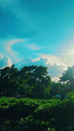 Natural Weather view