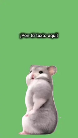 ratoncito shakira