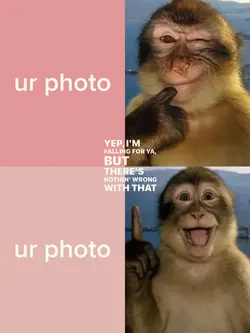 monkey pose trend 2