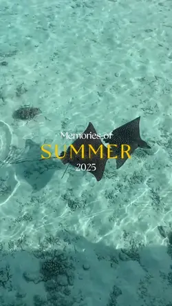 summer 2025