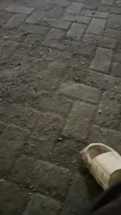 Sebentar lagi kita