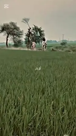 Manu Punjab kende ne