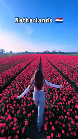 Netherlands 2026