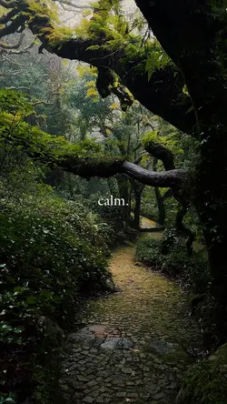 calm
