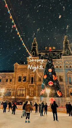 Snowy Nights