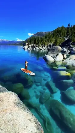 5 videos or photos 