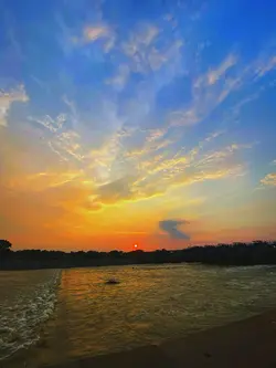 Filter senja