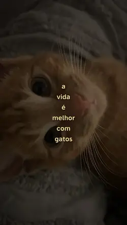 A vida é melhor com