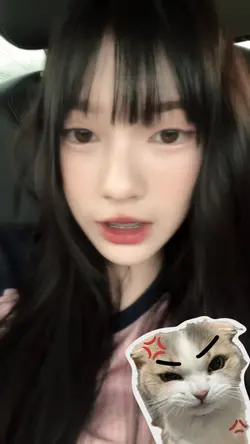 สติ๊กเกอร์ แมว น่ารัก ๆ