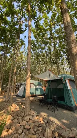 Video cepat