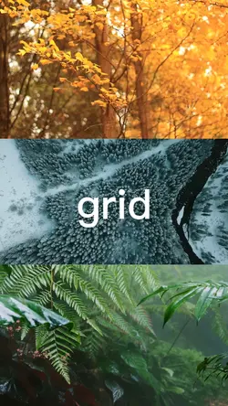 Grid Layout Collage