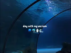 ―day aquarium 