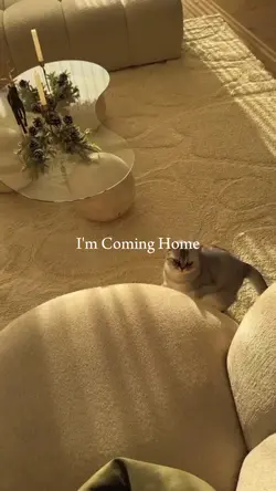 I'm Coming Home