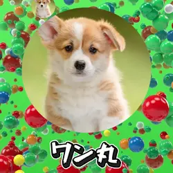 風船のようにふわふわと🎈