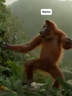 Dancing Meme