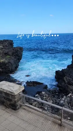 Life is beautiful.