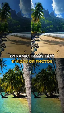 dynamic transition 