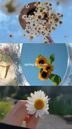 Spring in bloom