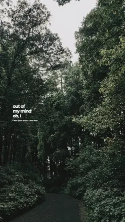 into your arms