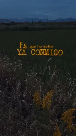 Es mi vida 
