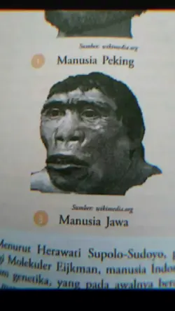 versi miror