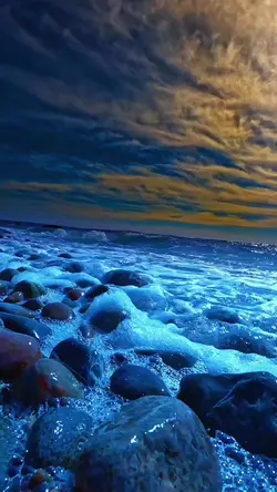 BEACH VIBES