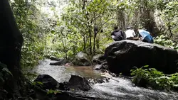 video cepat 2x