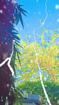 Barish Videos Rain V