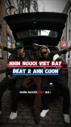 Nhìn người việt bay