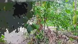video blurd to fhd