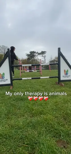 My only therapy 