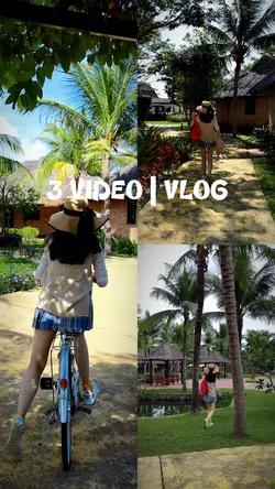 3 VIDEO | VLOG