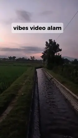 vibes video alam