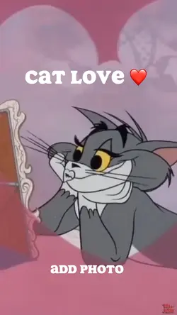 Cat love ❤️ 