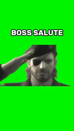 Boss salute 
