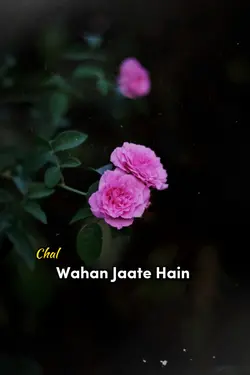 Chal Wahan Jate Hain