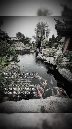 Mẫu caption đời