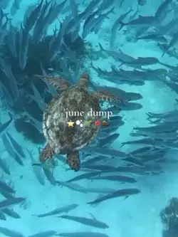 june dump
