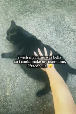 wishing