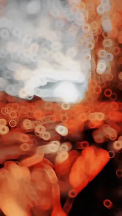 New slowmotion
