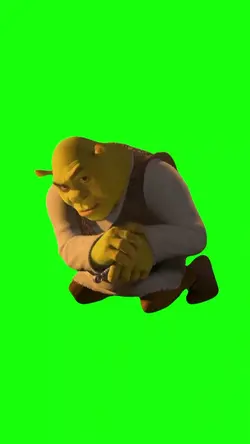 Shrek rizz meme