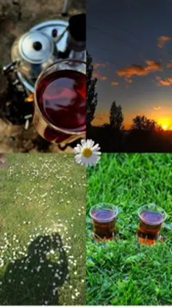 Doğa