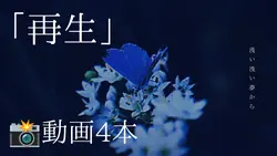 浅い浅い夢から_