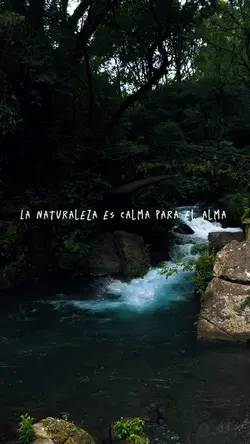 Naturaleza 🍃