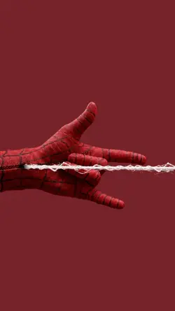 spider
