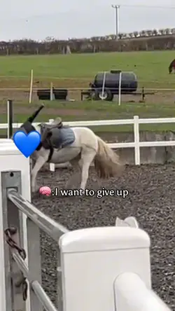 I want to give up…. 