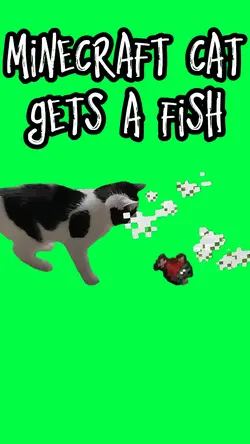 MINECRAFT CAT FISH