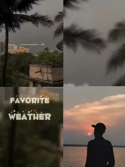 Favourite weather 