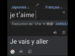 Google traduction...