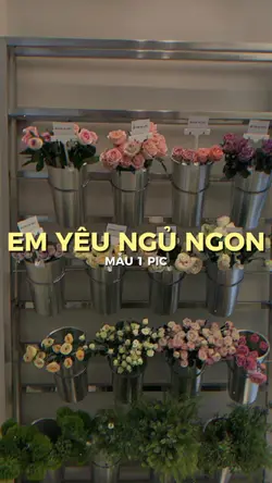 Em Yêu Ngủ Ngon